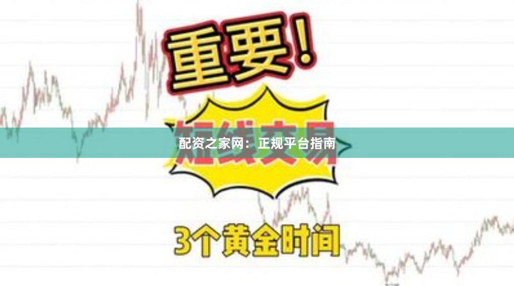 配资之家网：正规平台指南