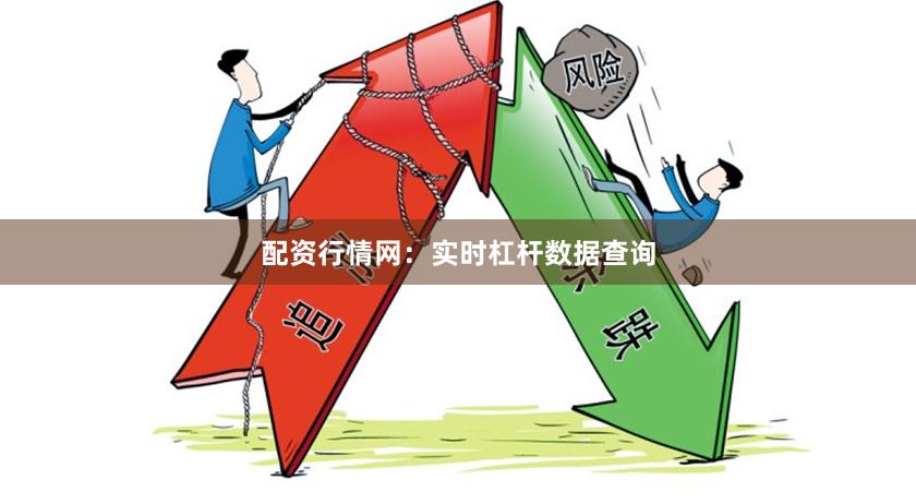 配资行情网：实时杠杆数据查询
