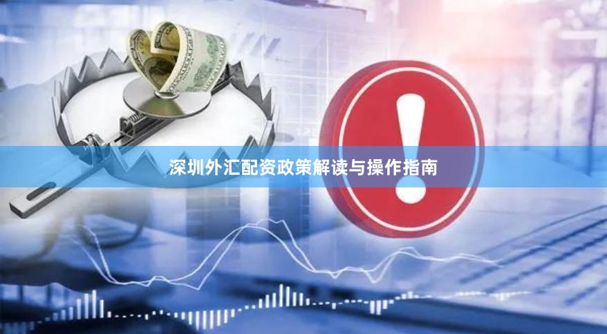 深圳外汇配资政策解读与操作指南